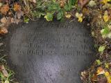 image of grave number 433184